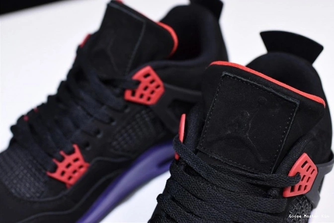 Retro Raptors